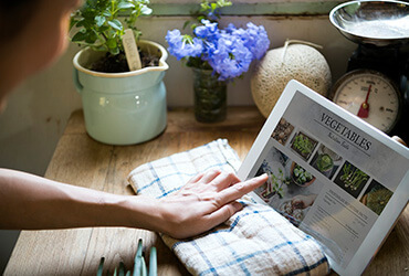 Online Diet Consultation