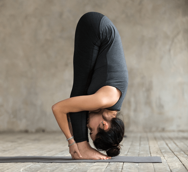 Standing Forward Fold Pose (Uttanasana Yoga)